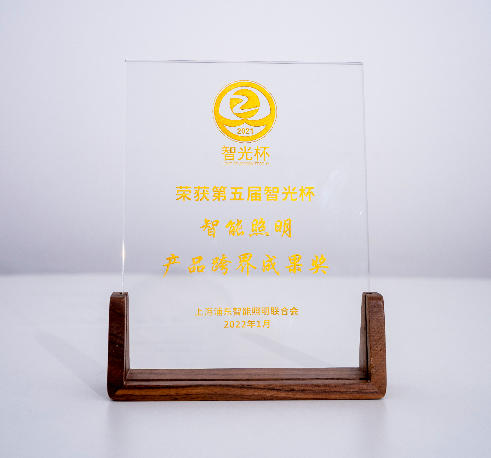 智能照明產(chǎn)品跨界成就獎(jiǎng)